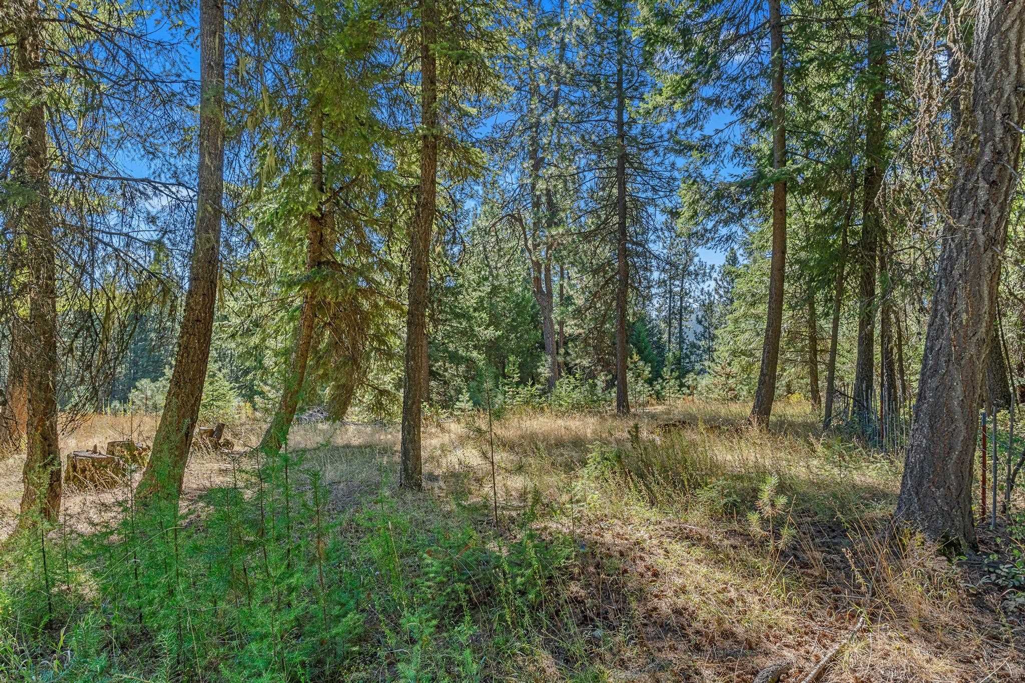 Nka Pines Road Newport, WA 99156 - Photo 23 of 28