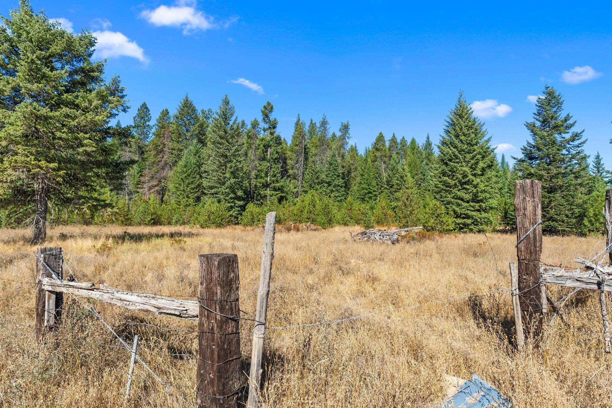 Nka Pines Road Newport, WA 99156 - Photo 4 of 28