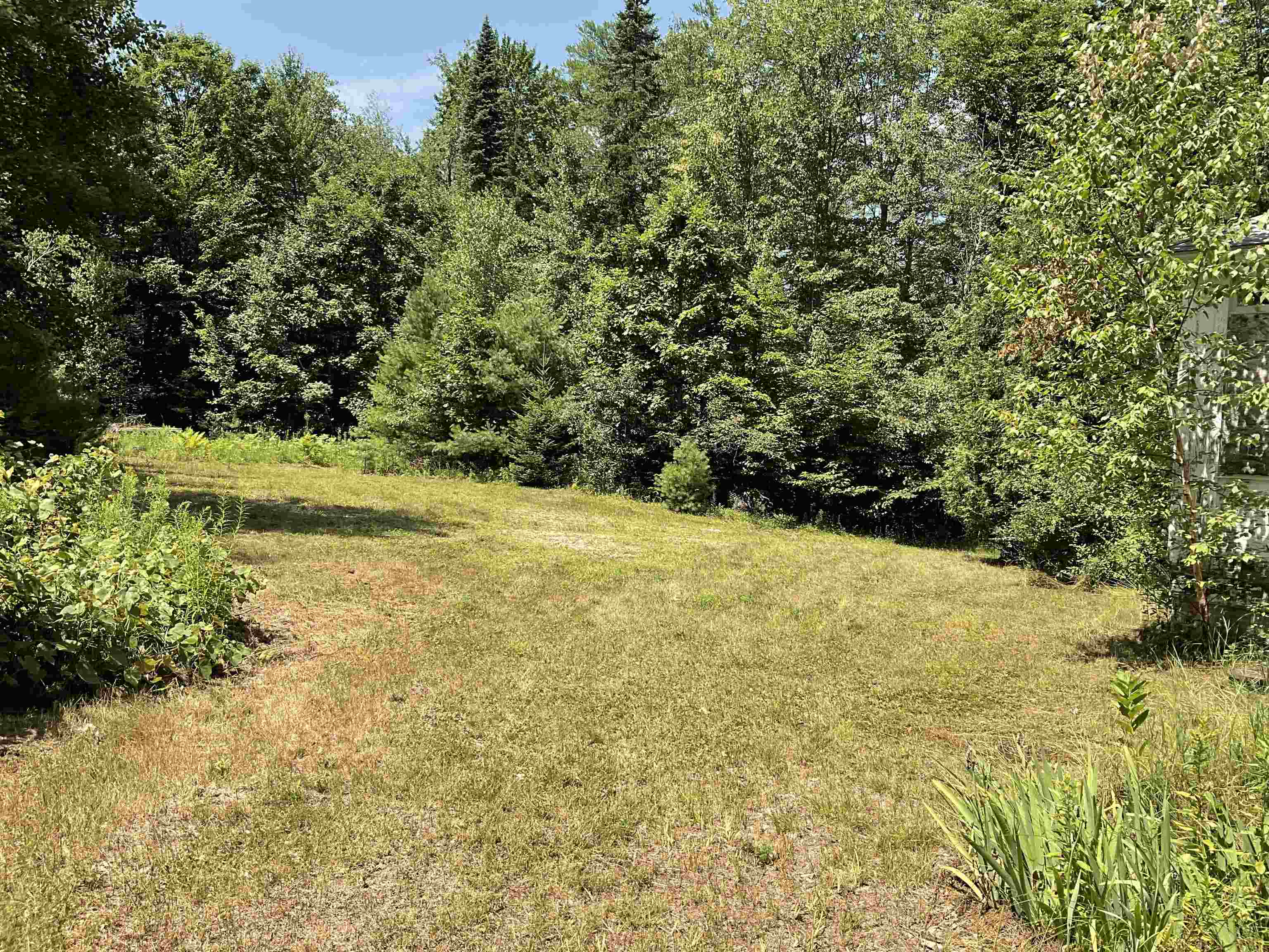 592 Eaton Road Conway, NH 03818 - Photo 4 of 30