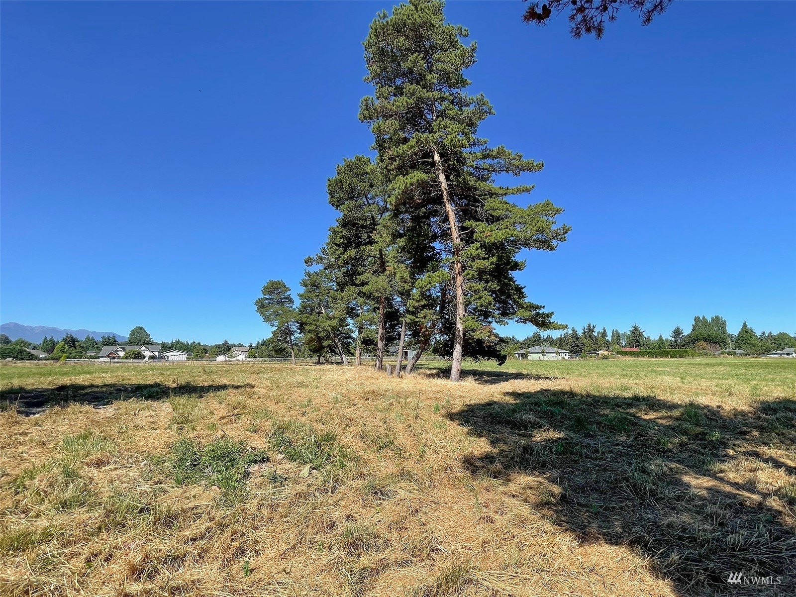 99999 Wright Road Sequim, WA 98382 - Photo 15 of 40