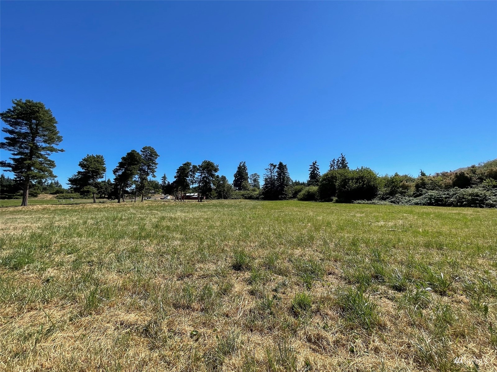 99999 Wright Road Sequim, WA 98382 - Photo 28 of 40