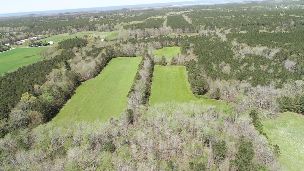 0 Big Road Bloxom, VA 23308 - Photo 10 of 28