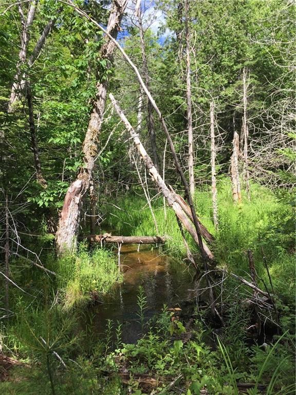 Lot 48 Woodsman Mill Road Lowell, ME 04417 - Photo 4 of 6 Photo