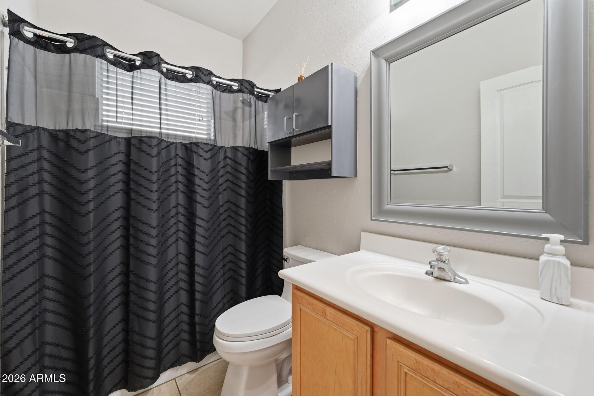 3273 East Fairview Street Gilbert, AZ 85295 - Photo 20 of 37 a bathroom with a sink and a toilet