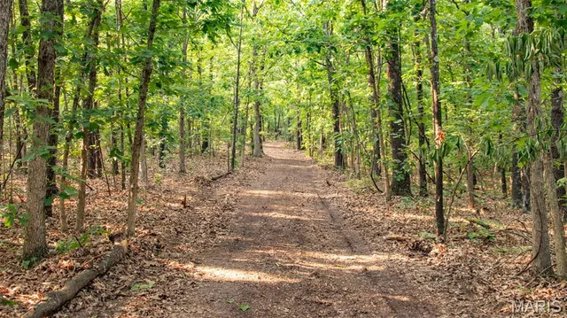 $550,000 | 0 Medley Lane, Eldridge, MO 65463