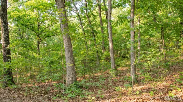 $550,000 | 0 Medley Lane, Eldridge, MO 65463