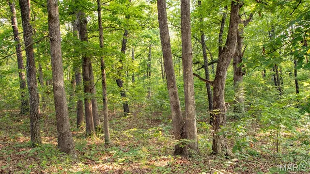 $550,000 | 0 Medley Lane, Eldridge, MO 65463