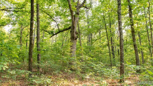 $550,000 | 0 Medley Lane, Eldridge, MO 65463