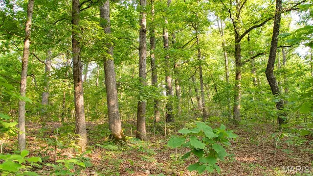 $550,000 | 0 Medley Lane, Eldridge, MO 65463