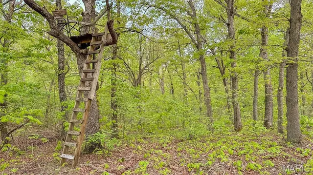 $550,000 | 0 Medley Lane, Eldridge, MO 65463