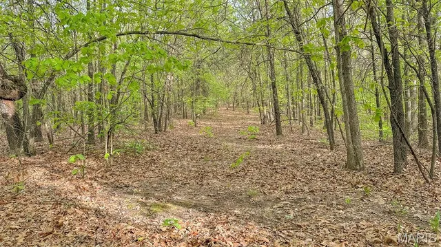 $550,000 | 0 Medley Lane, Eldridge, MO 65463