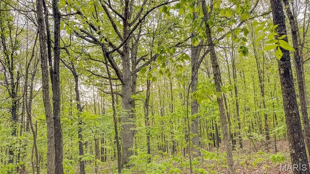 $550,000 | 0 Medley Lane, Eldridge, MO 65463