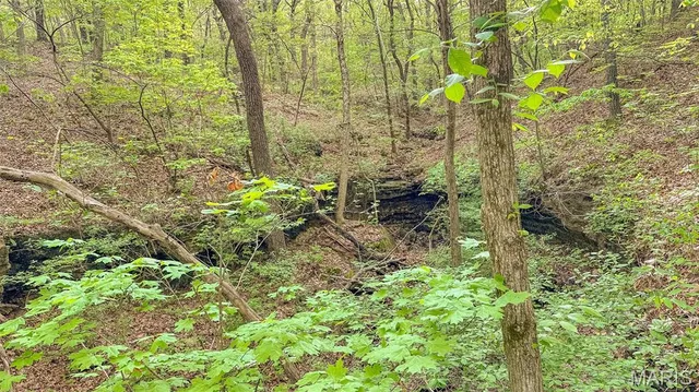 $550,000 | 0 Medley Lane, Eldridge, MO 65463