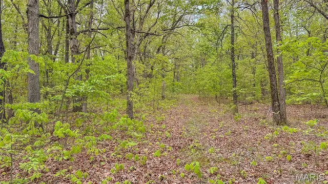 $550,000 | 0 Medley Lane, Eldridge, MO 65463