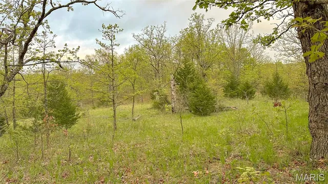 $550,000 | 0 Medley Lane, Eldridge, MO 65463