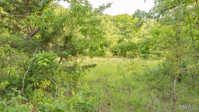 $550,000 | 0 Medley Lane, Eldridge, MO 65463