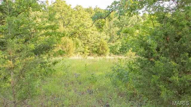 $550,000 | 0 Medley Lane, Eldridge, MO 65463