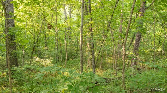 $550,000 | 0 Medley Lane, Eldridge, MO 65463