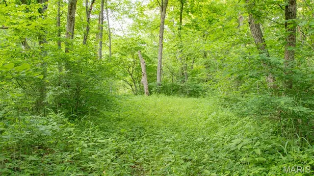 $550,000 | 0 Medley Lane, Eldridge, MO 65463