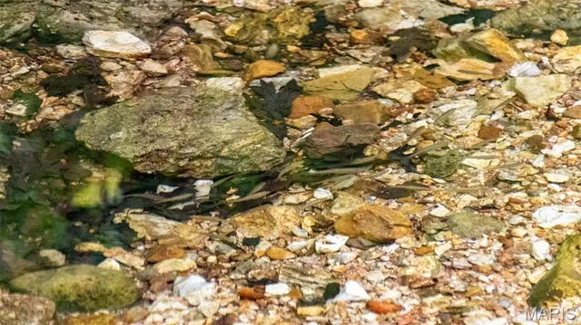 $550,000 | 0 Medley Lane, Eldridge, MO 65463