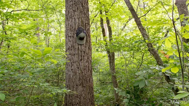 $550,000 | 0 Medley Lane, Eldridge, MO 65463