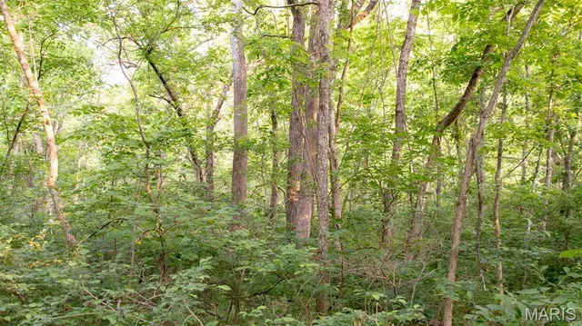 $550,000 | 0 Medley Lane, Eldridge, MO 65463