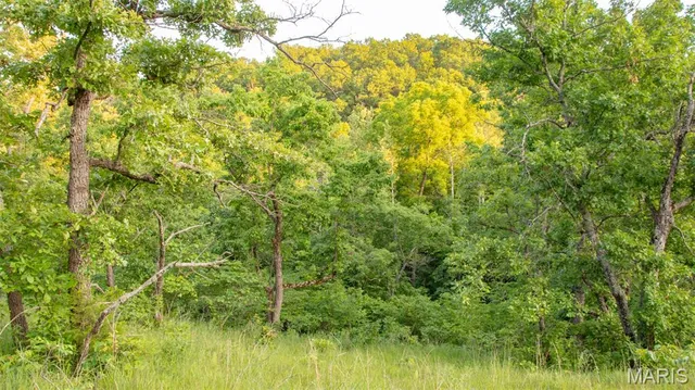 $550,000 | 0 Medley Lane, Eldridge, MO 65463