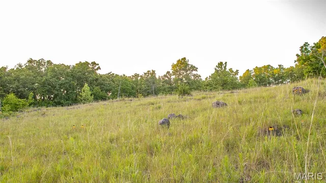 $550,000 | 0 Medley Lane, Eldridge, MO 65463