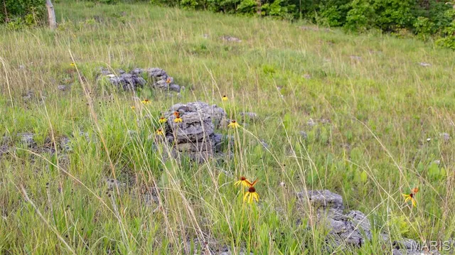 $550,000 | 0 Medley Lane, Eldridge, MO 65463