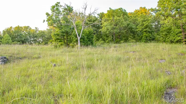 $550,000 | 0 Medley Lane, Eldridge, MO 65463