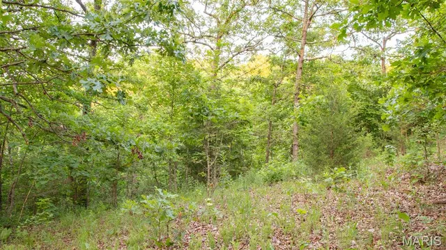 $550,000 | 0 Medley Lane, Eldridge, MO 65463