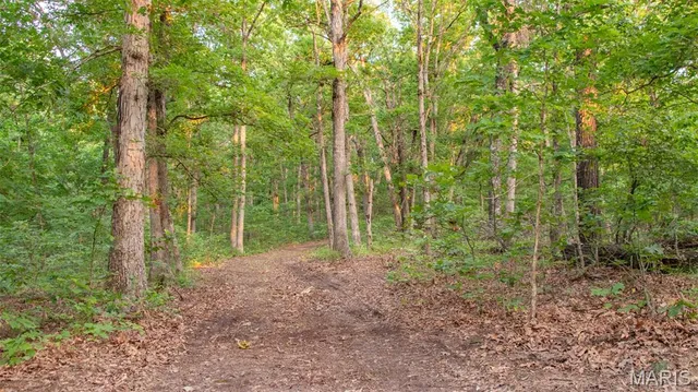 $550,000 | 0 Medley Lane, Eldridge, MO 65463