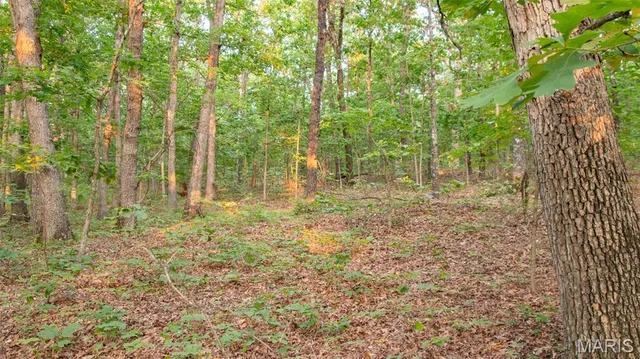 $550,000 | 0 Medley Lane, Eldridge, MO 65463