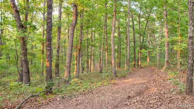 $550,000 | 0 Medley Lane, Eldridge, MO 65463