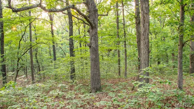 $550,000 | 0 Medley Lane, Eldridge, MO 65463