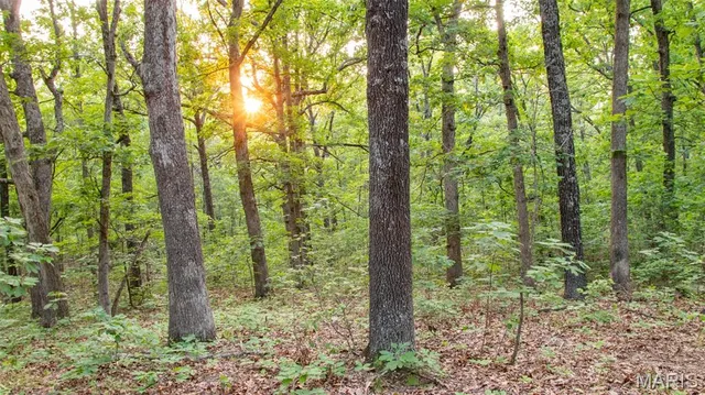 $550,000 | 0 Medley Lane, Eldridge, MO 65463