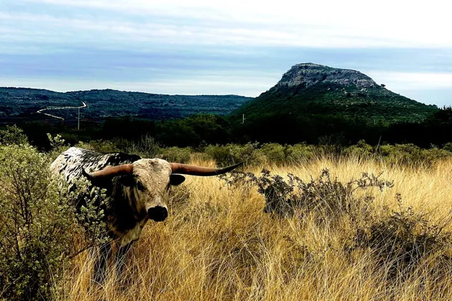 a view of a lake with mountains in the background