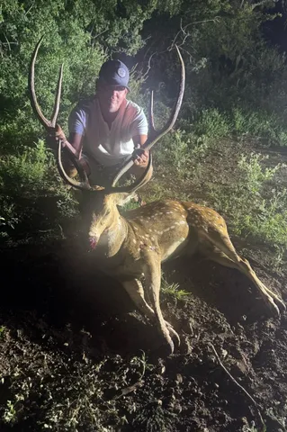 a view of an ocean with a mountain