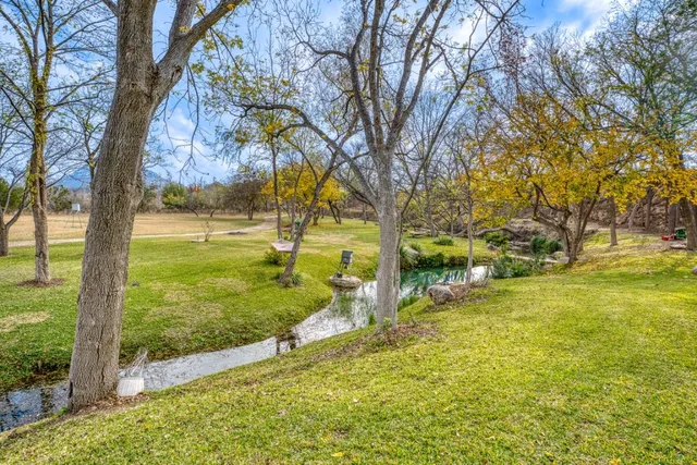 a view of a dry yard