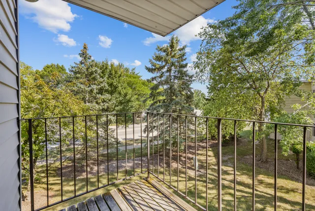 a view of outdoor space yard and tree