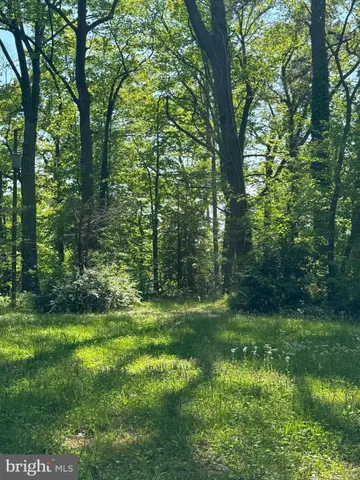 a big yard with lots of green space and trees