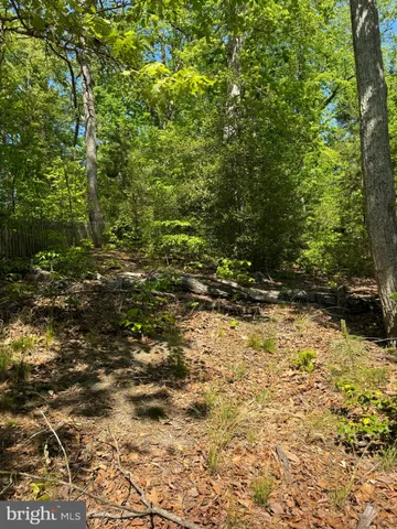 a view of outdoor space with deck and trees