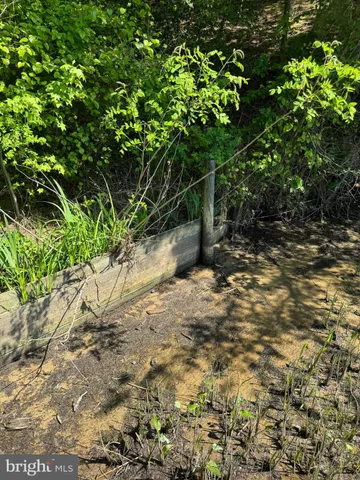 a view of a yard with plants and trees
