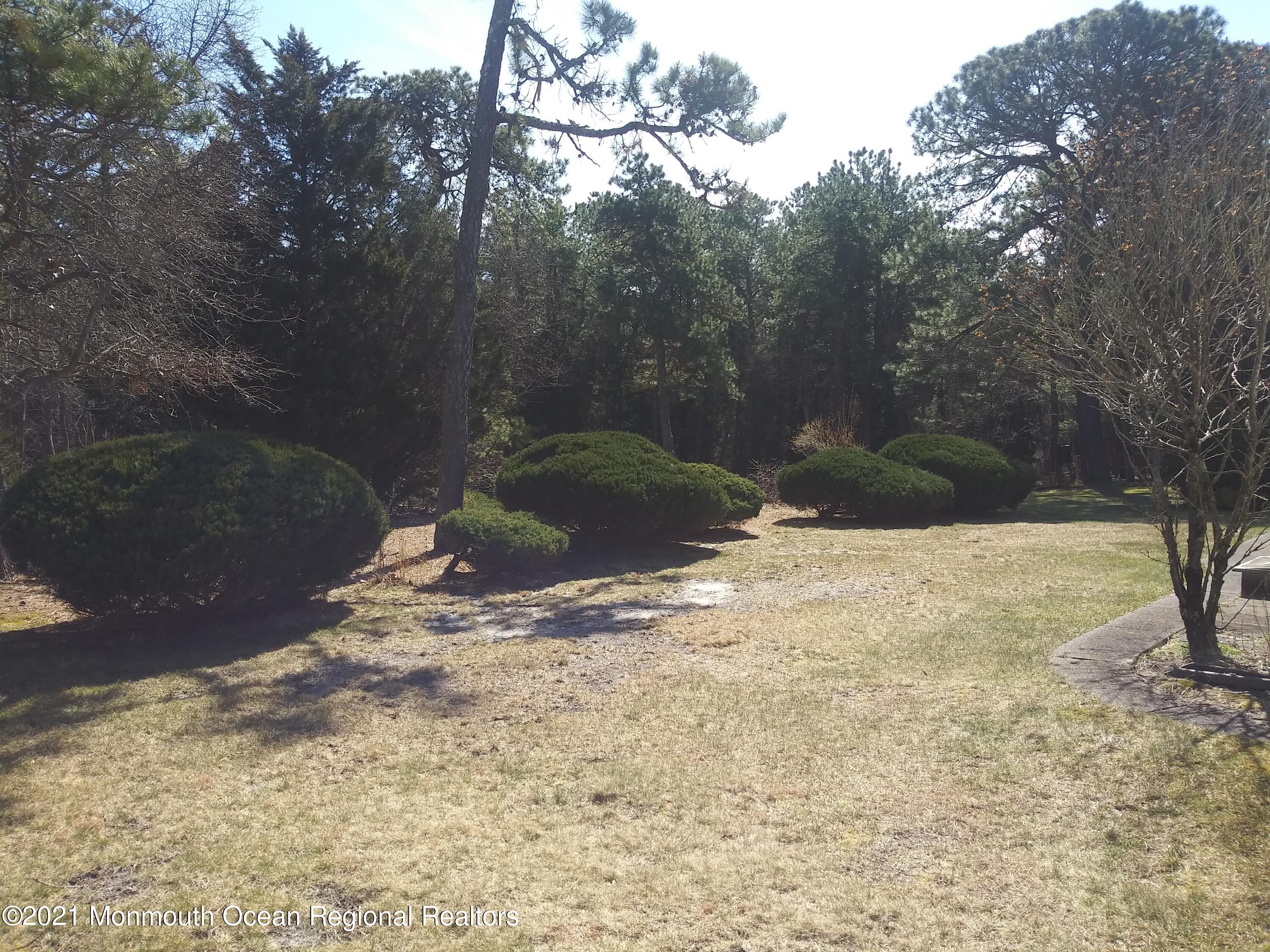 9 Ashley Road, Unit 63 Whiting, NJ 08759 - Photo 4 of 11 a view of a yard with a tree
