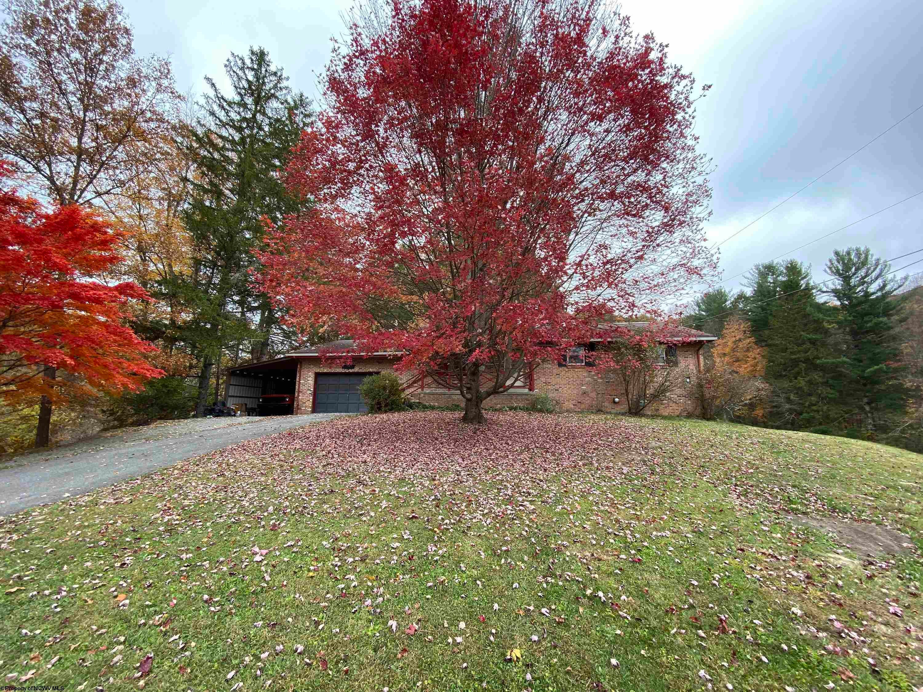 412 Gilman Road Elkins, WV 26241 - Photo 3 of 26 Gallery Image 3