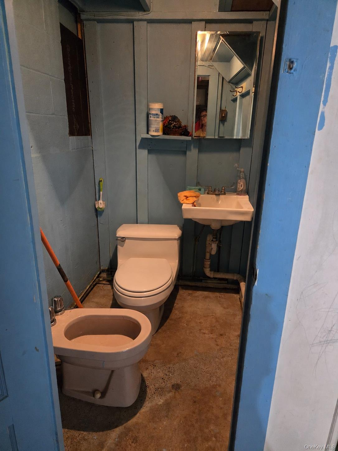 125 Zimmerman Road Loch Sheldrake, NY 12759 - Photo 21 of 43 a bathroom with a toilet and a mirror