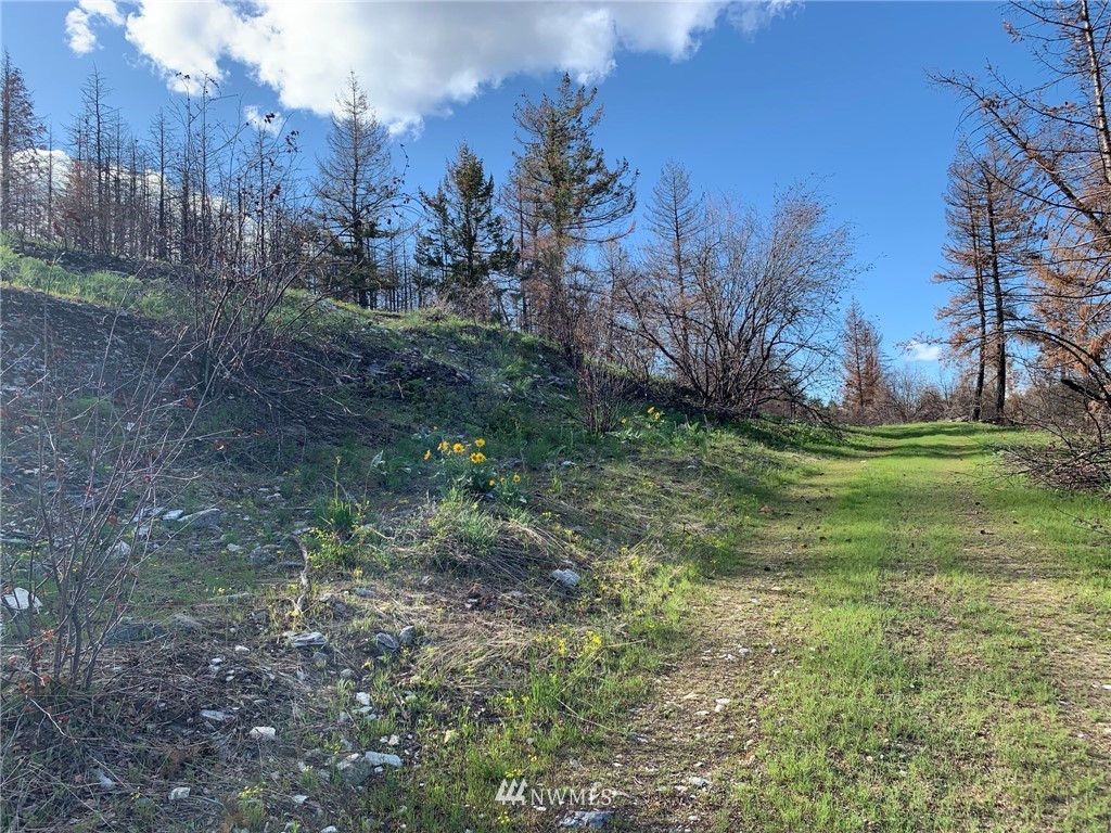 320 Eighme Road Oroville, WA 98844 - Photo 2 of 23 Gallery Image 2