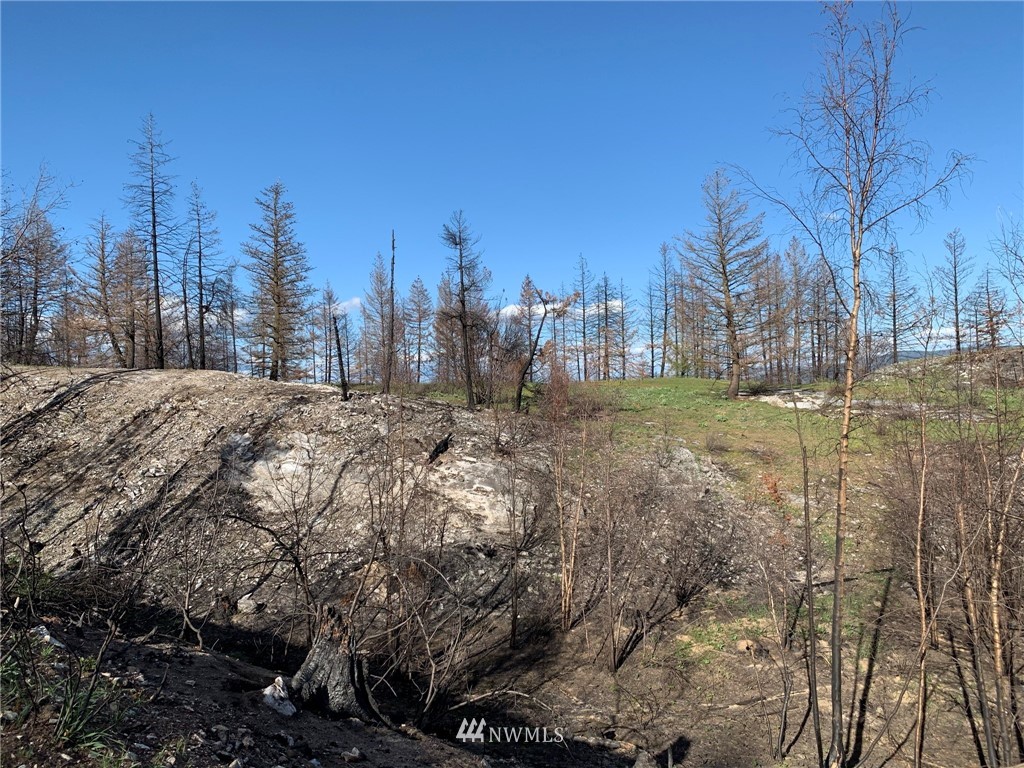320 Eighme Road Oroville, WA 98844 - Photo 11 of 23 Gallery Image 11
