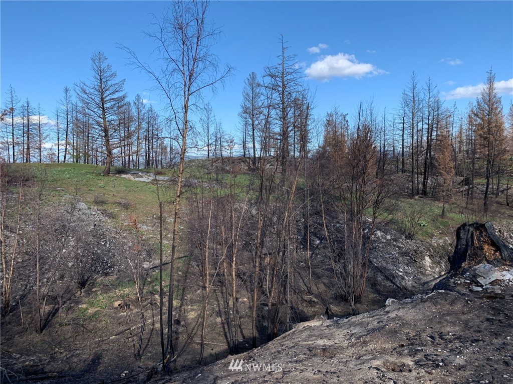 320 Eighme Road Oroville, WA 98844 - Photo 20 of 23 Gallery Image 20