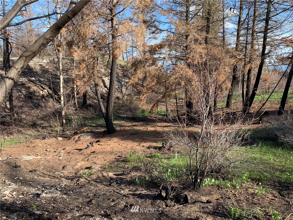 320 Eighme Road Oroville, WA 98844 - Photo 21 of 23 Gallery Image 21